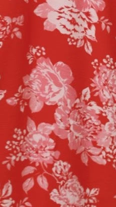 Haisley Mini Dress - Red Floral
