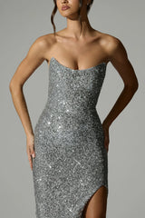 Embellished Corset Gown in Silver